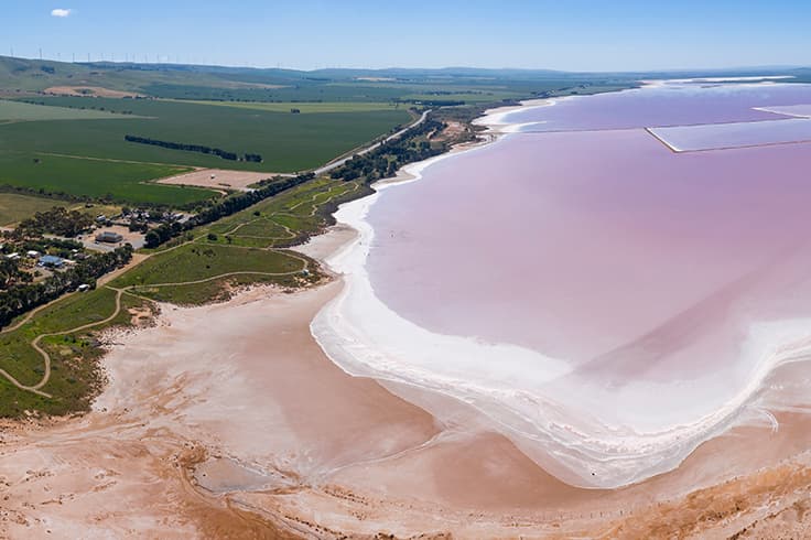 5 AWESOME ROAD TRIPS FROM ADELAIDE 5 lake bumbunga salt pink lake