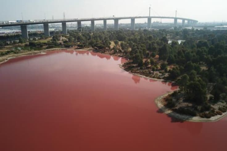 7 day road trip itinerary adelaide to melbourne 7 pink lake at westgate park melbourne