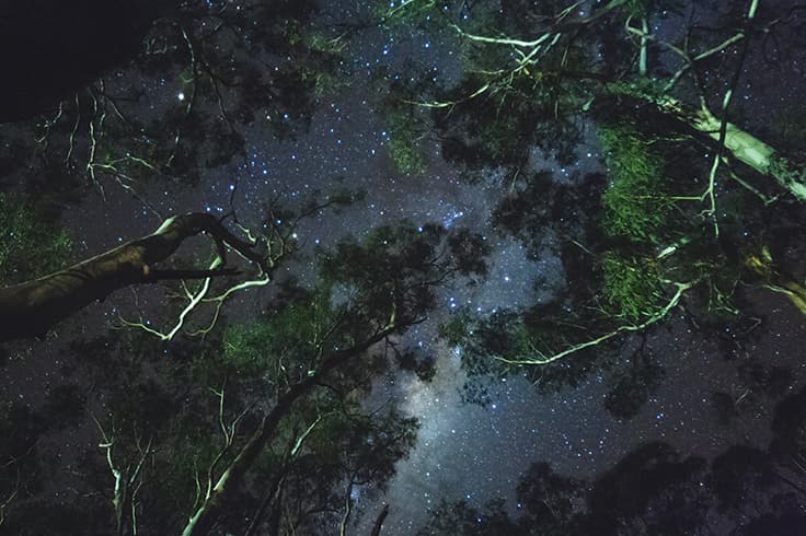 travel the winding Grampians Way 1