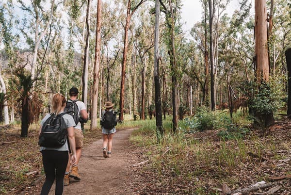 Outback Queensland blog 7