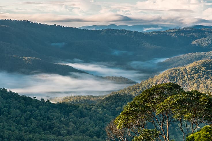 tamborine national park mountain valley view tamborine national park mountain valley view