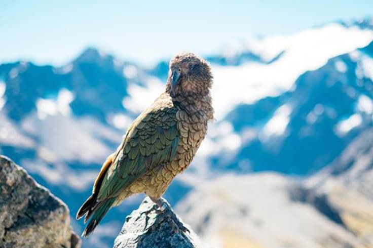 10 responsible travel tips 3