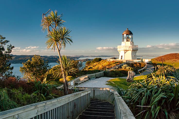 Five best day trips from Auckland 4