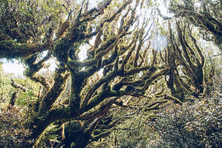 New Zealands North Islands best hiking trails 4