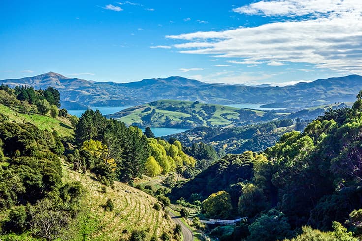 Road trips you can do from Christchurch in a day 2