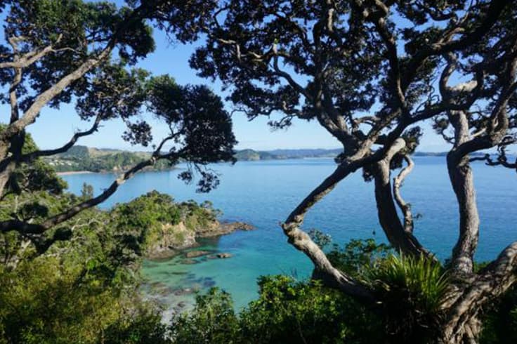 road trip around new zealands north island 4