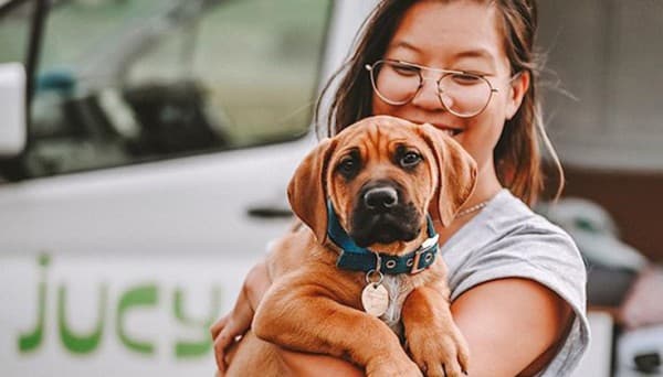 Pets in campers 736x420 1